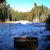 Kings canyon et Sequoia 20